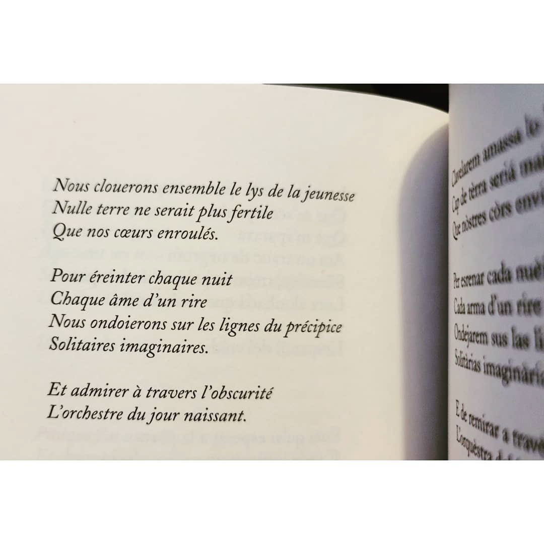 Maëlle Dupon, La color lenta de la pluèja / La couleur lente de la pluie, Éditions Jorn, 2013.