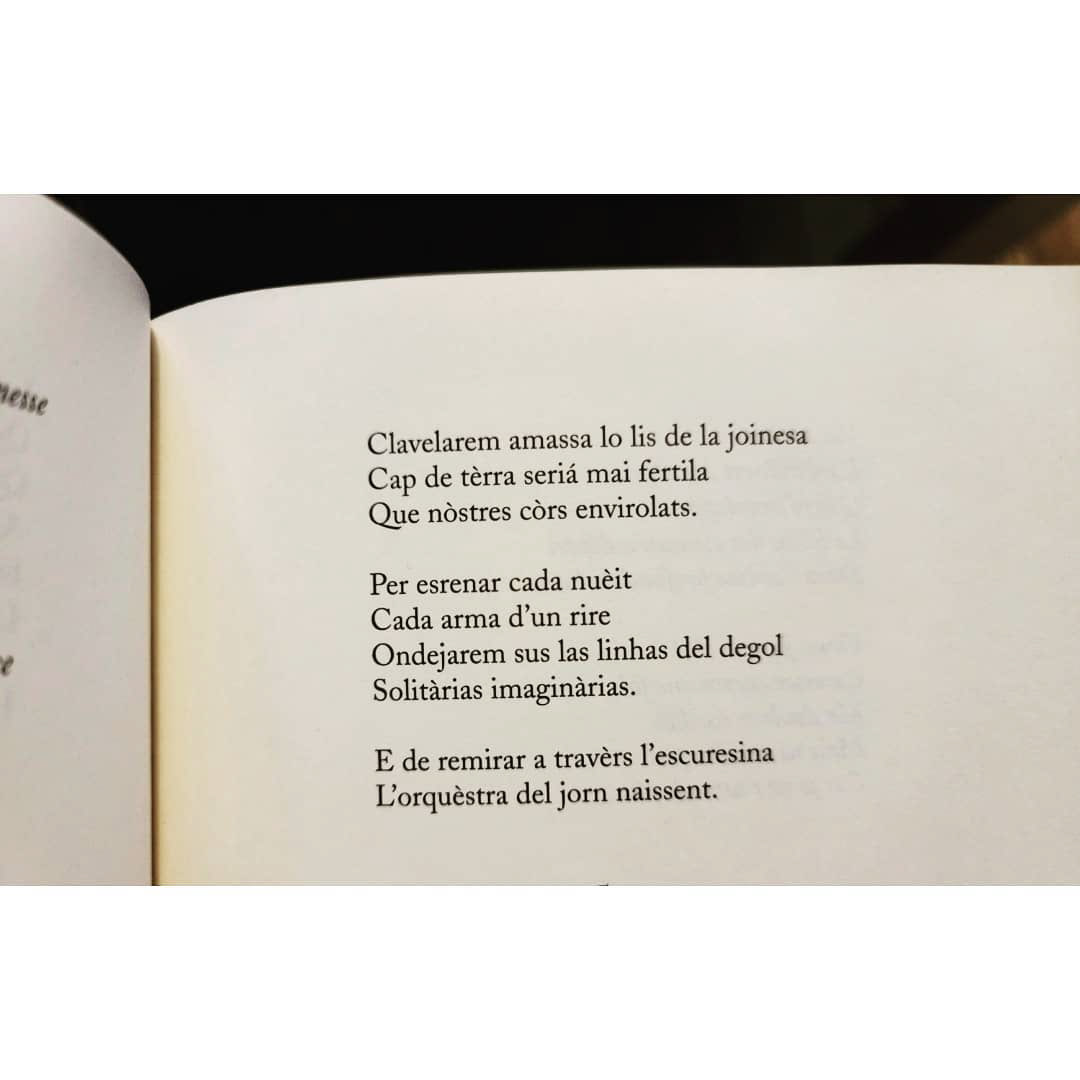 Maëlle Dupon, La color lenta de la pluèja / La couleur lente de la pluie, Éditions Jorn, 2013.