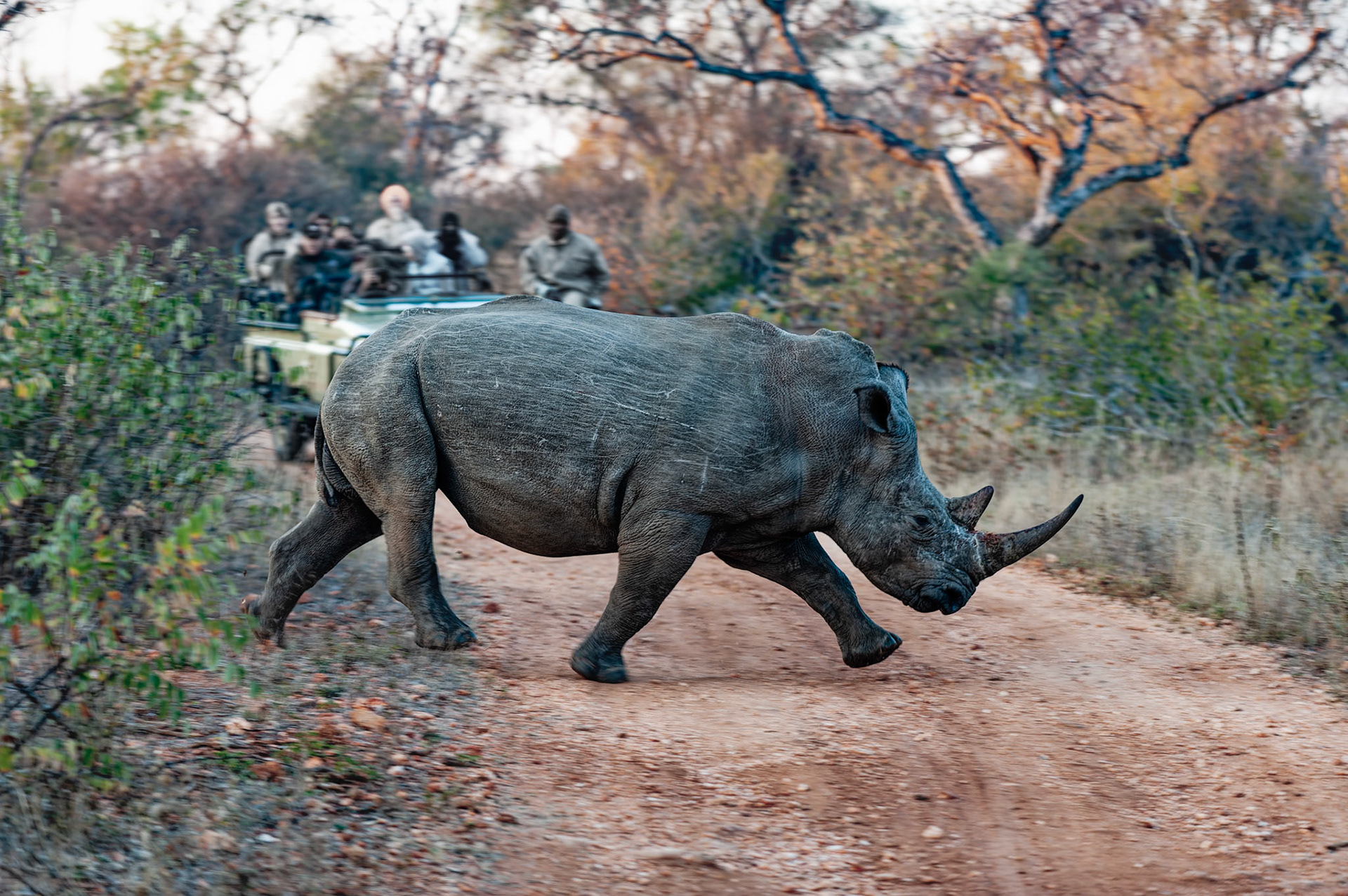 Puis repart dans la direction initiale
