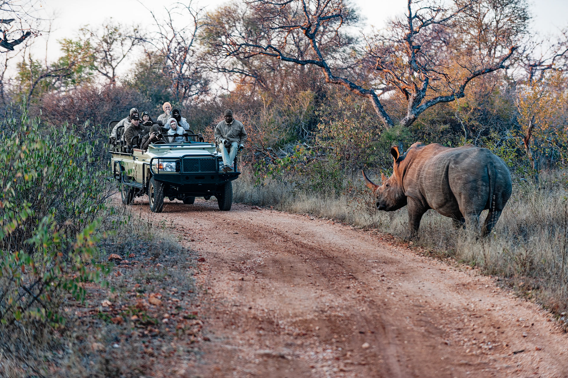 Se ravise et repart dans l'autre sens