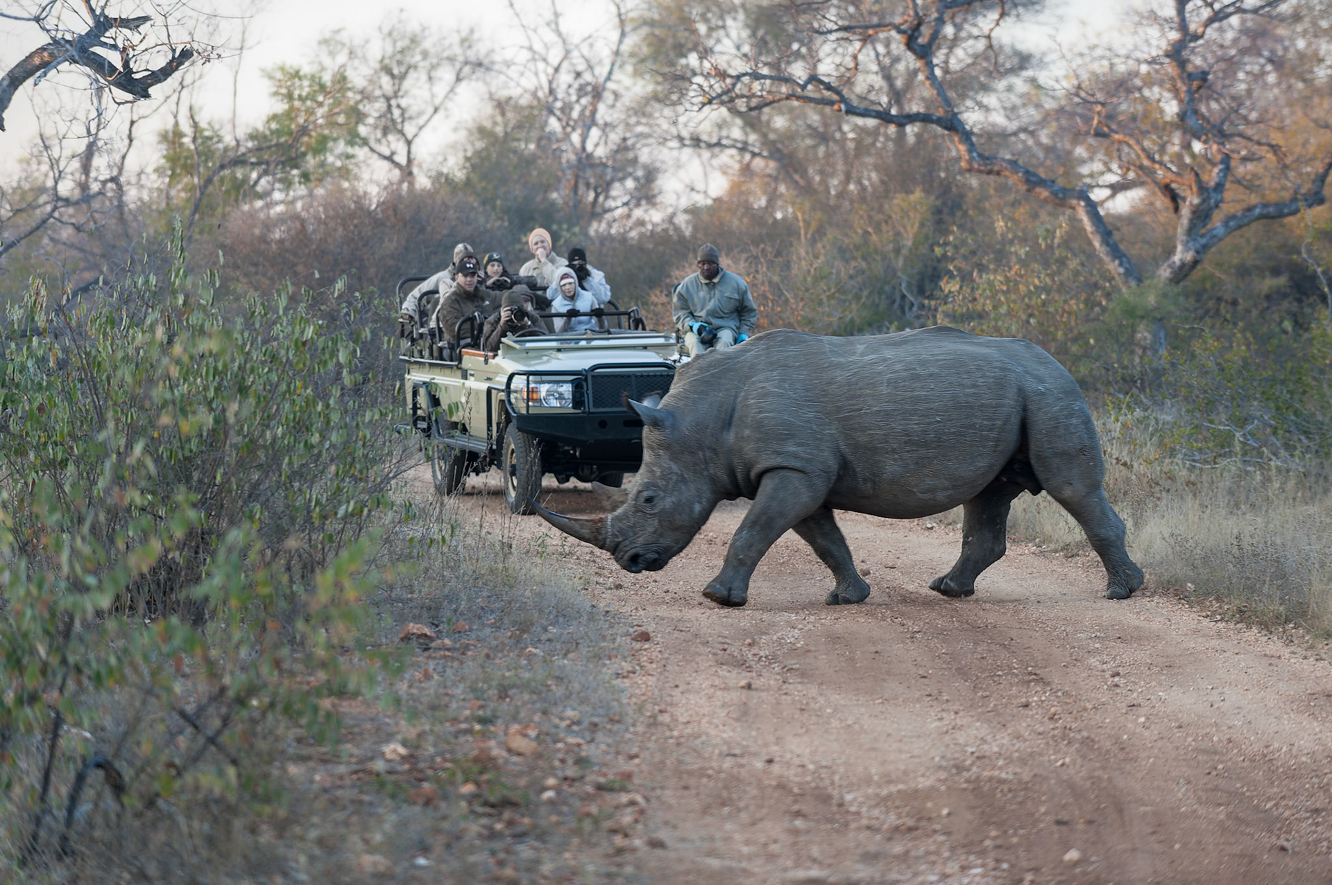 Se ravise et repart dans l'autre sens