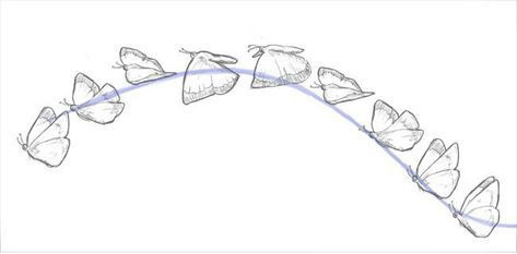 animation cycle of wings