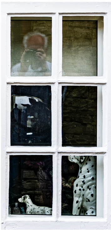 Reflection by Cliff Harvey