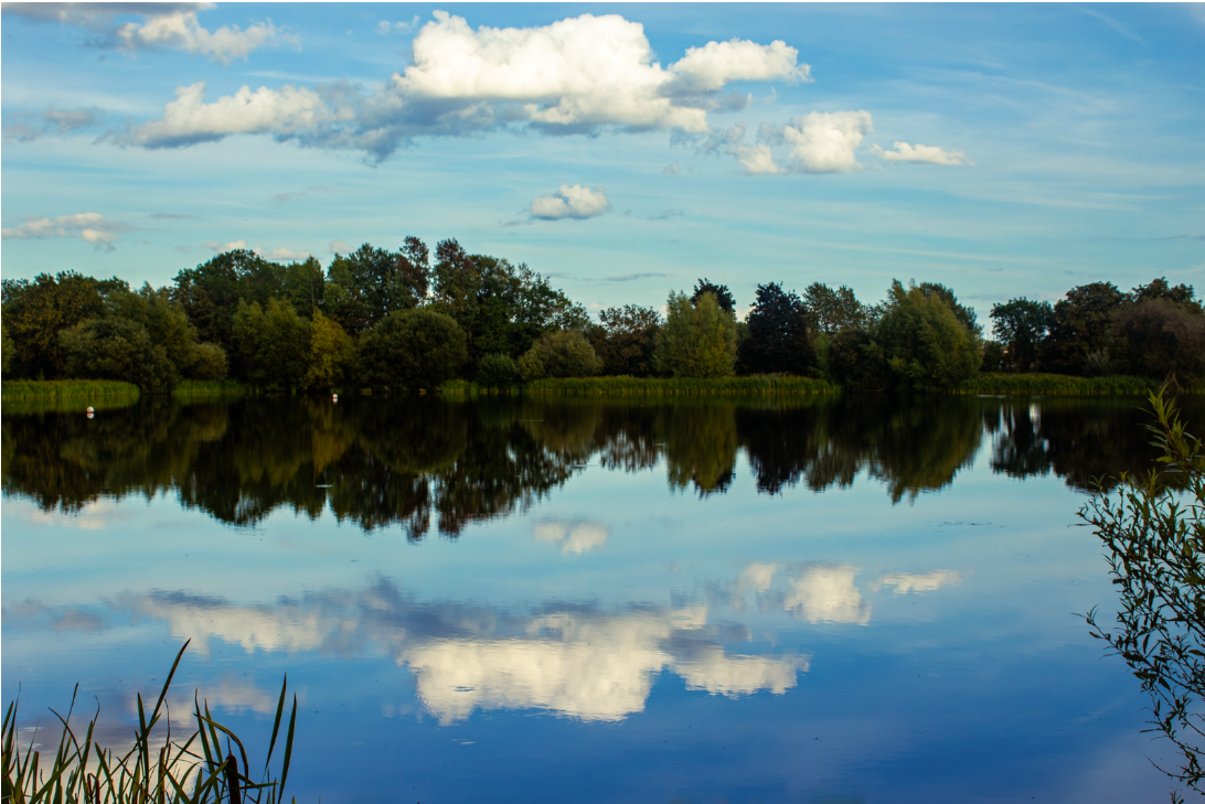 Cloud Reflection in Otter Pool by Kevin Quigg