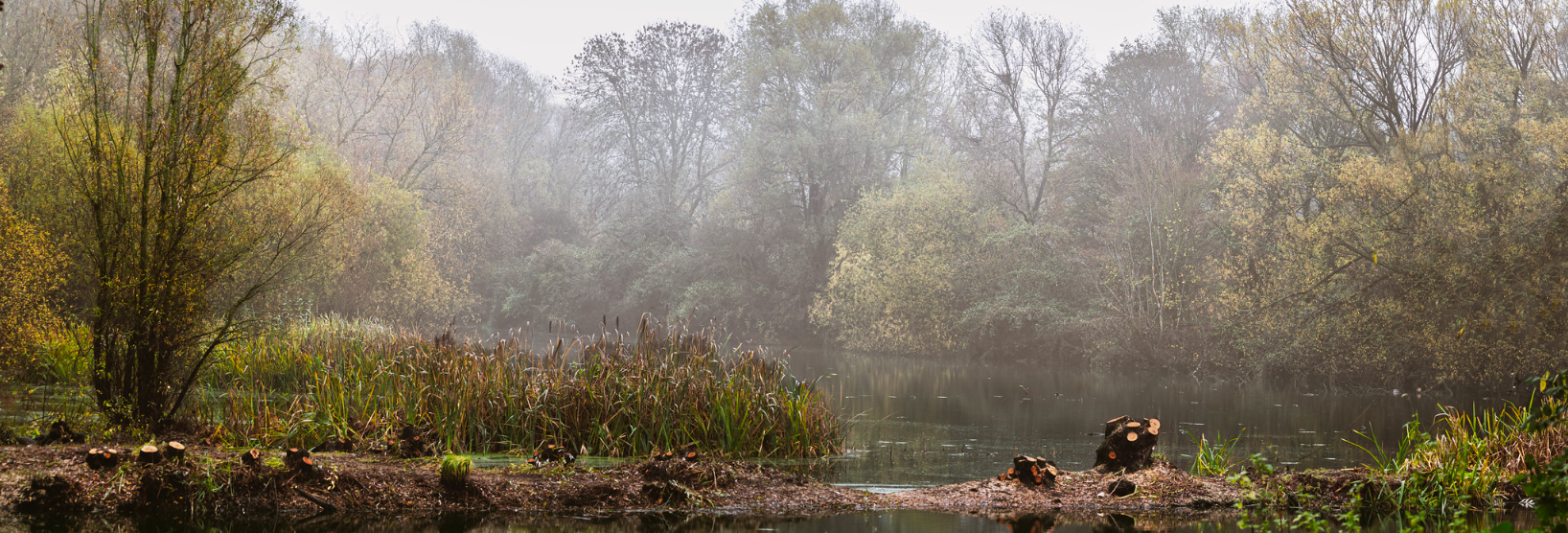 (46) Priory Country Park by Martin Harris, Judge: Bruce Deacon LRPS