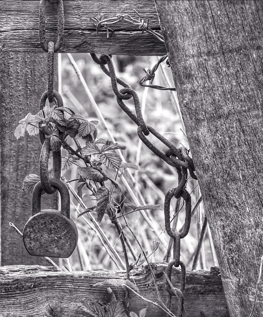 (14)  The Chain Gang by Ann Jarvis, Judge: Dave Phillips