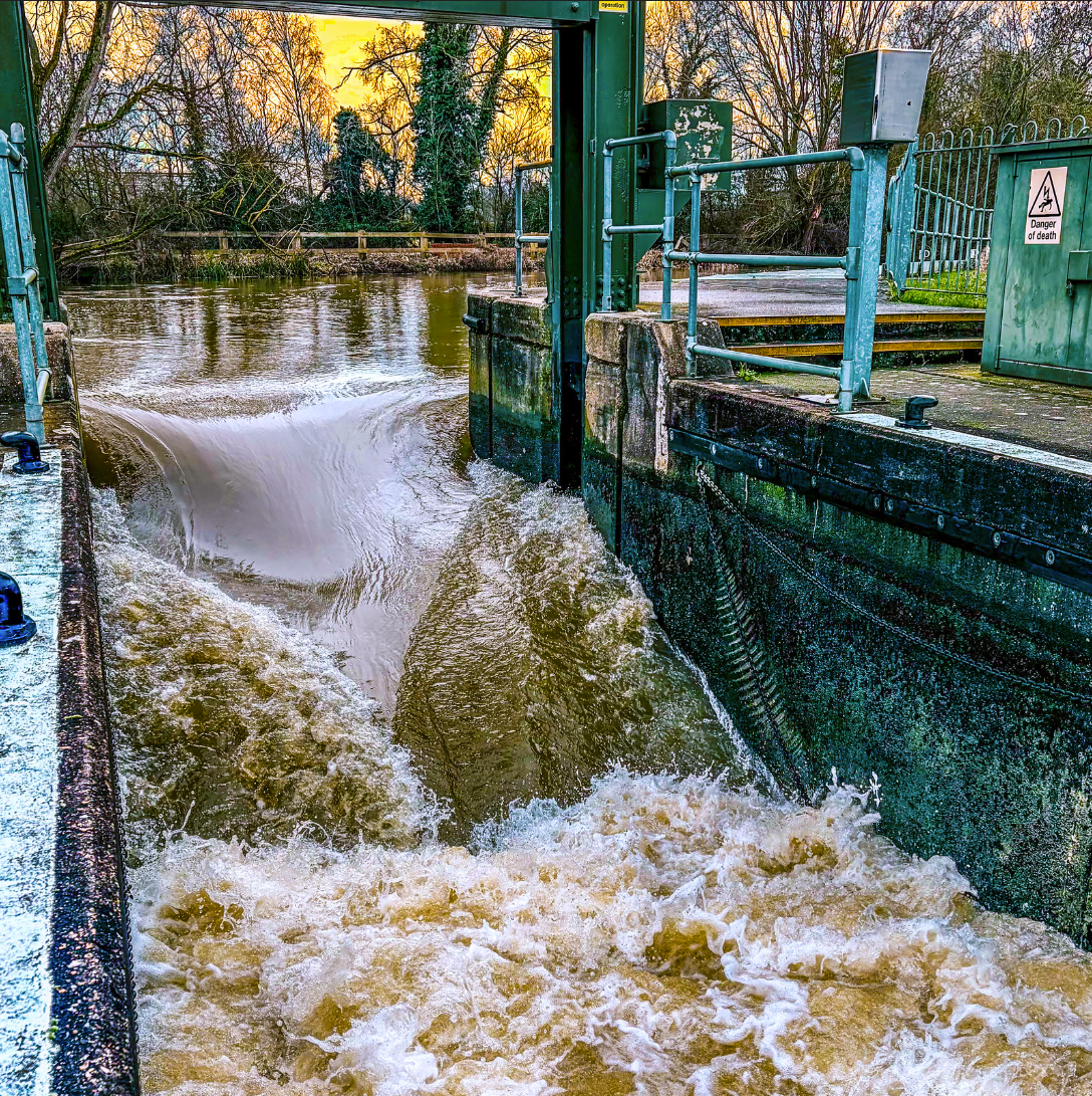 (06) Anyone for a Paddle? by Richard Blunt, Judge: Helen Hall