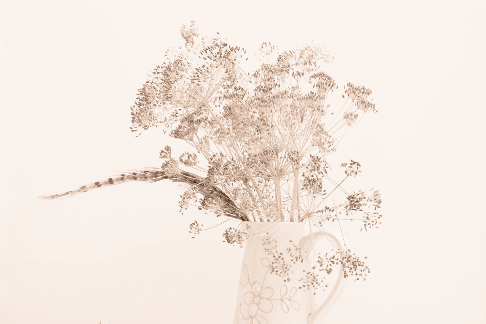 (48) Still Life with Feather by Helen Hall, Judge: John Dunn ARPS CPAGB