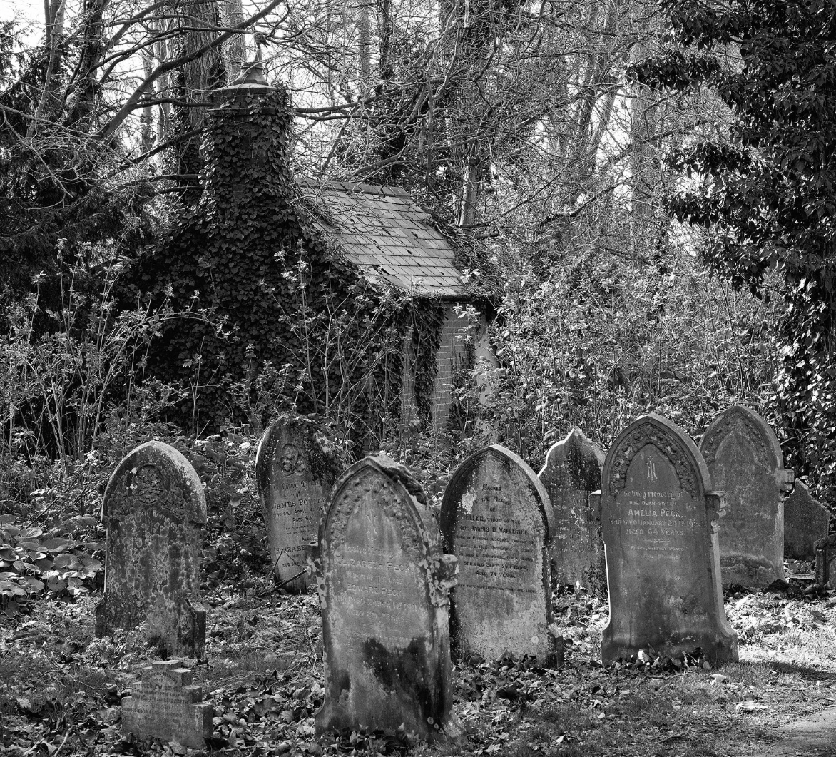 (11) Thoughts of Lemon Jefferson by Jim Boud LRPS,  Judge: Moira McAneny