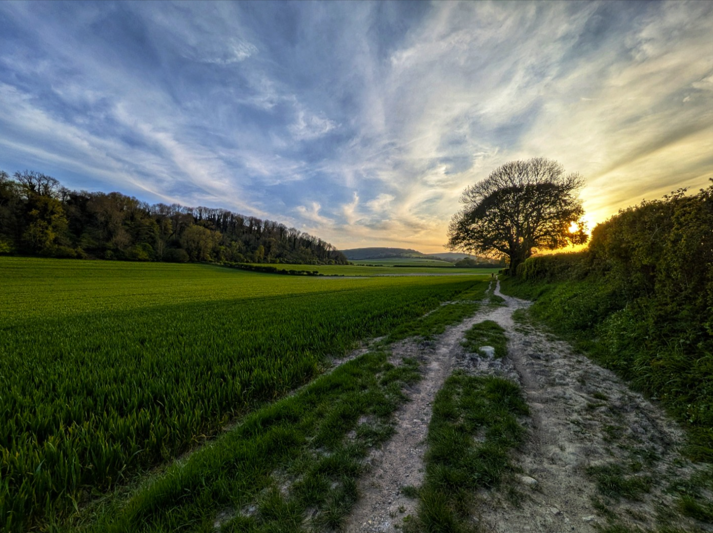 (17) Beneath the Downs by Neil Gribben, Judge: Mike Quickenden