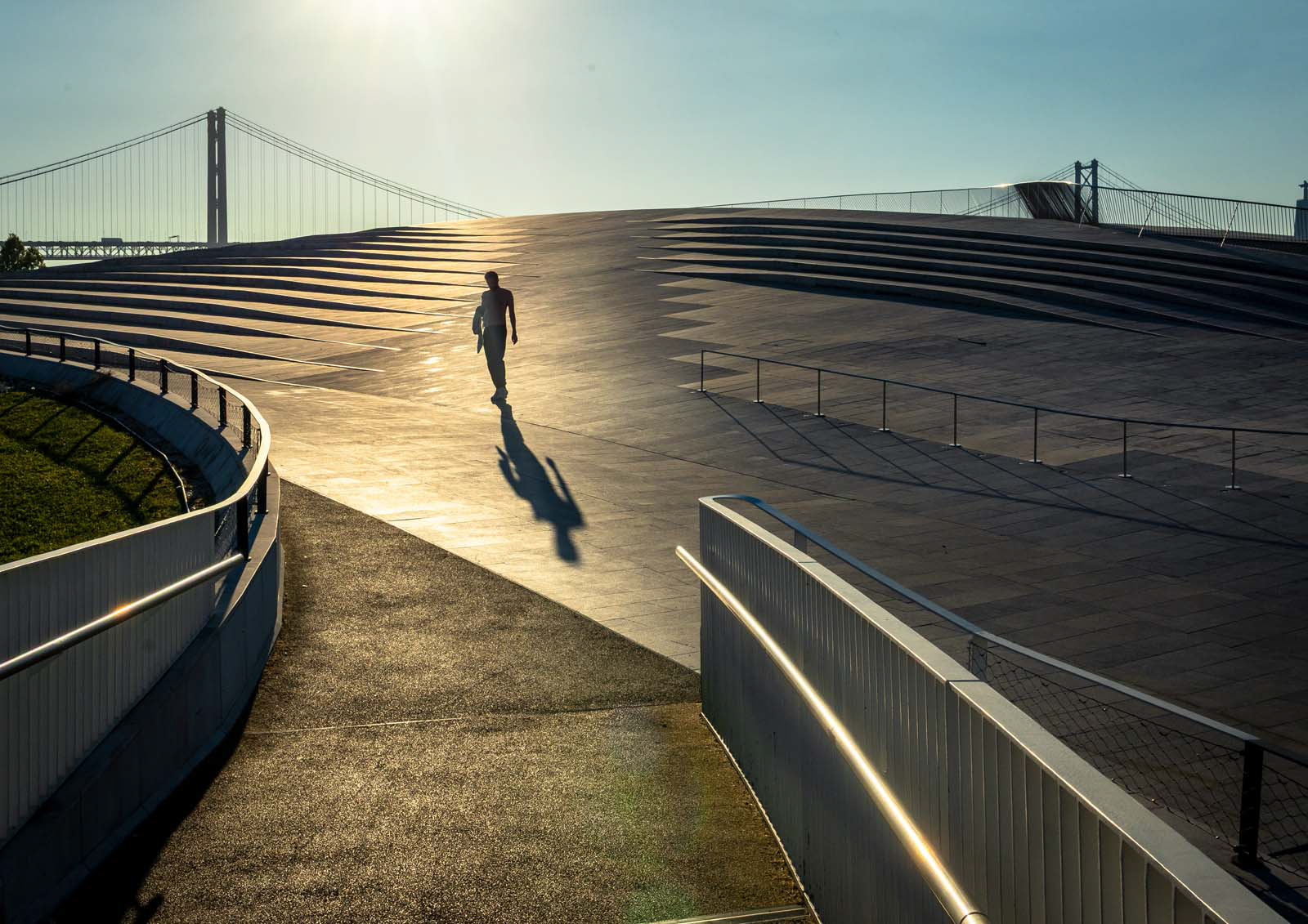 On the Roof by John Gough ARPS 