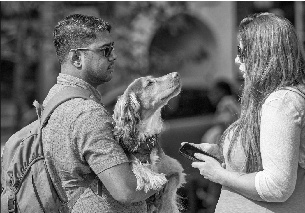 Family Discussion by Sara Reay