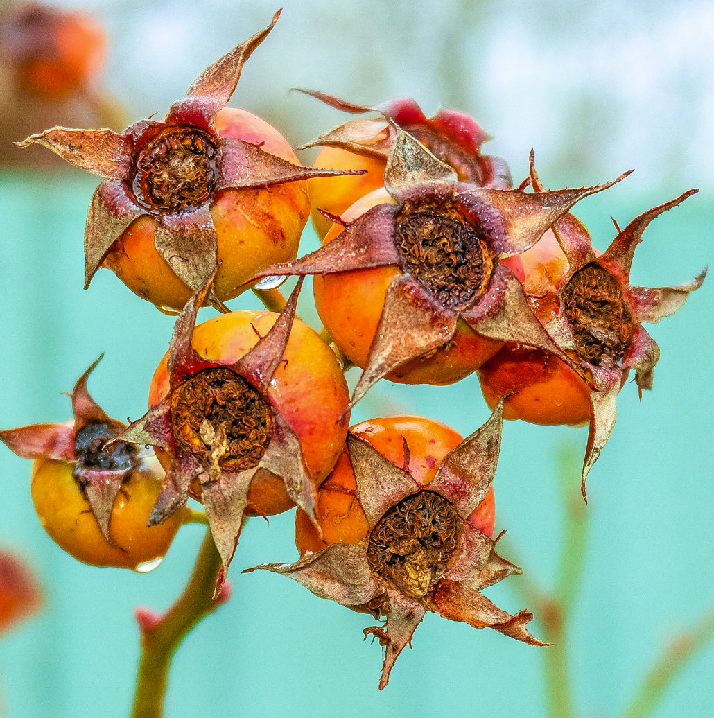 (03) Winter Colours by Richard Blunt, Judge Peter Ford