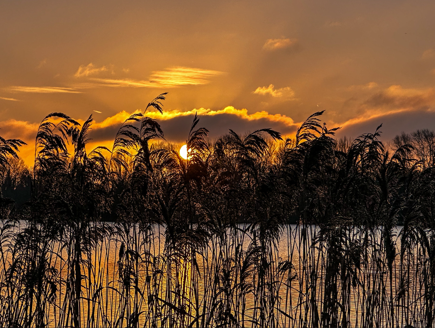 (02) Priory Marina by Richard Blunt, Judge Issa Farhoud