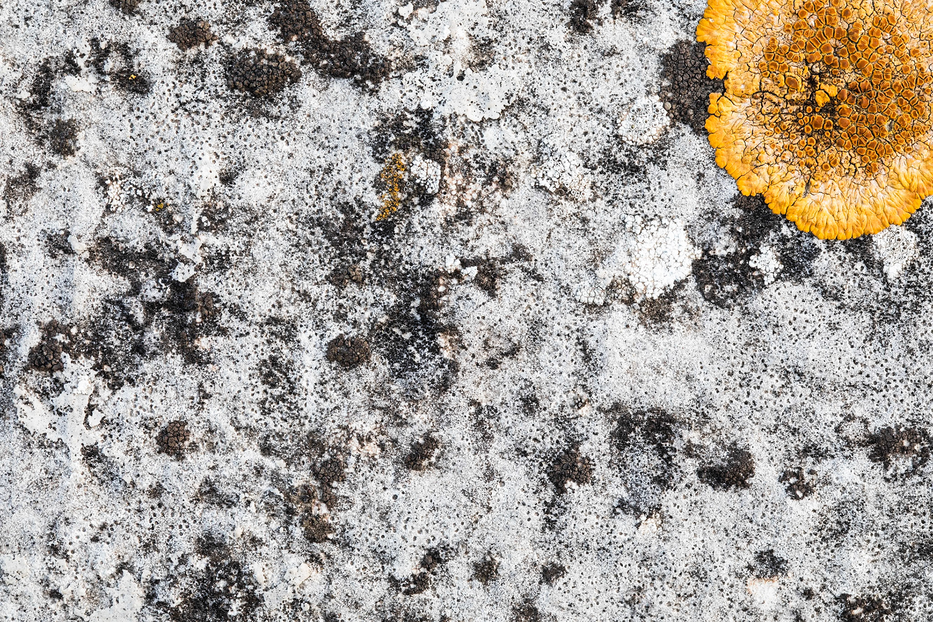 The sun lights up a world in black and white