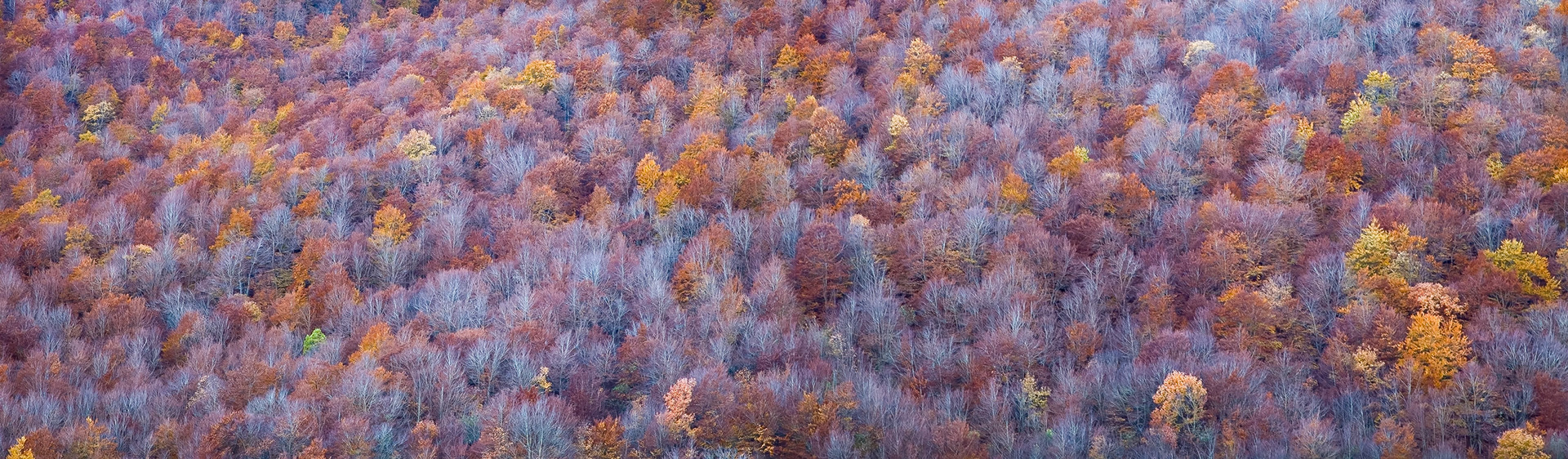 Colors of Autumn (Abruzzo)