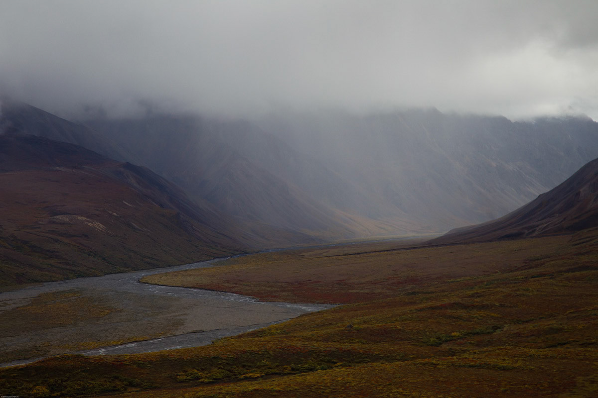 Denali NP (Alaska)