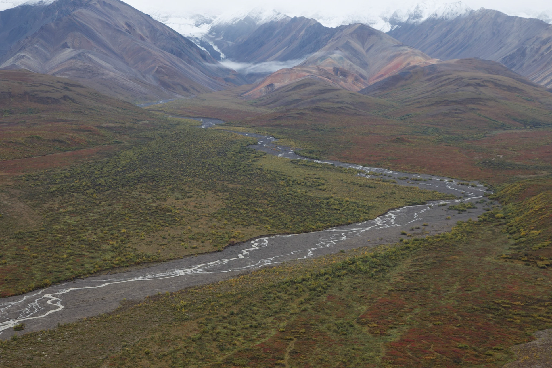Denali NP (Alaska)