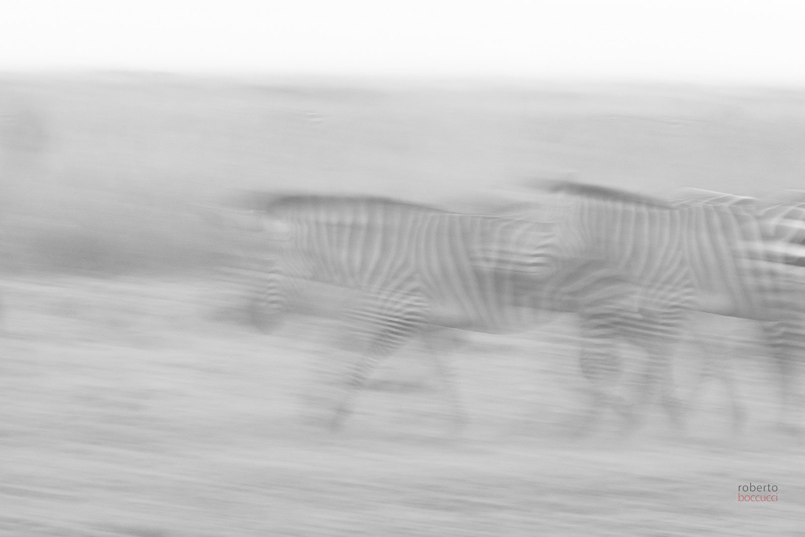 Presences in black and white