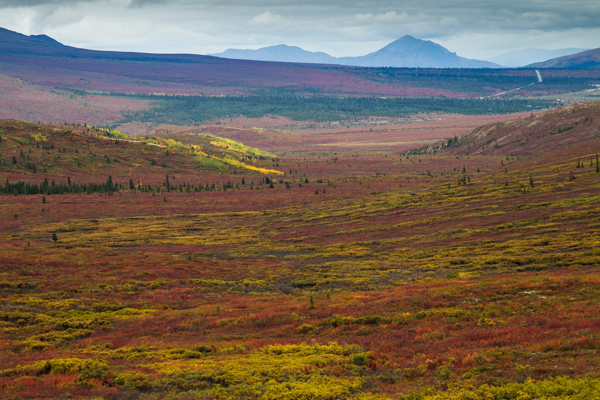 Denali NP (Alaska)