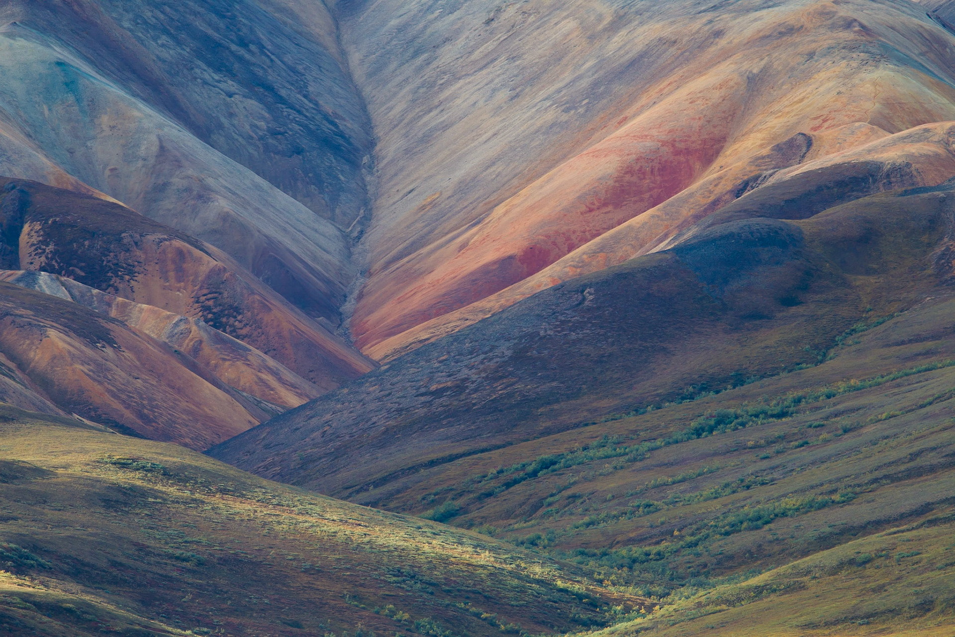 A detail of the polycrome pass taken with the telephoto lens