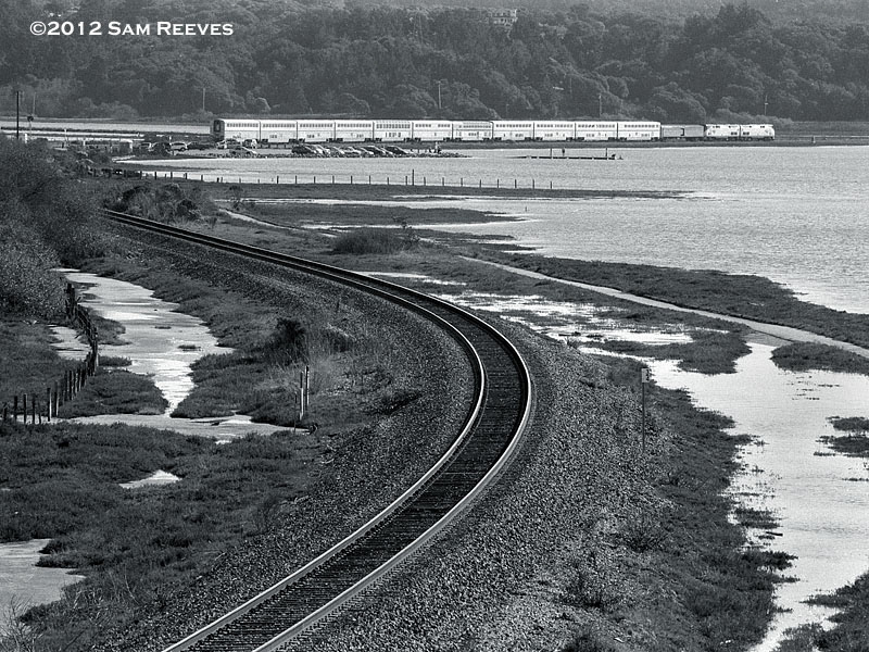 Coast Starlight at Elkhorn