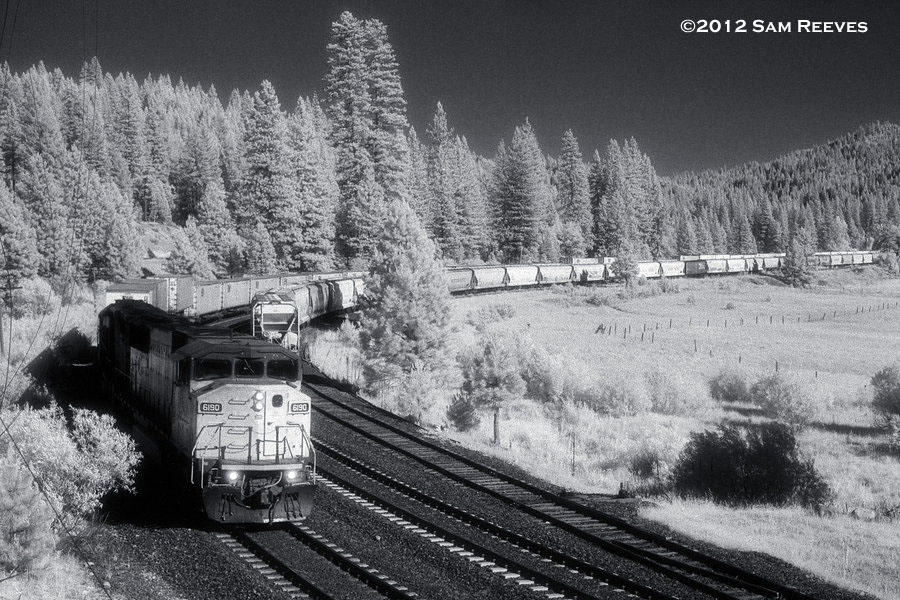 Infrared Spring Garden