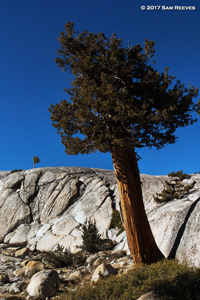 Oldsted Point