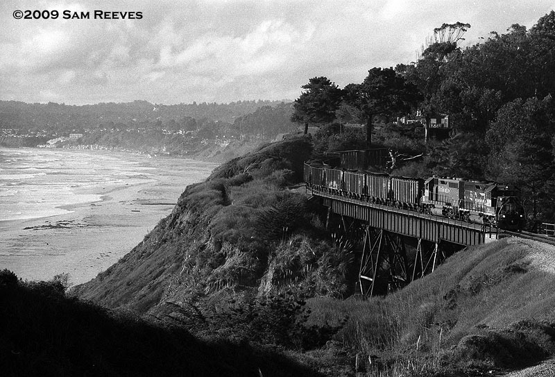 Santa Cruz Local at La Selva Beach