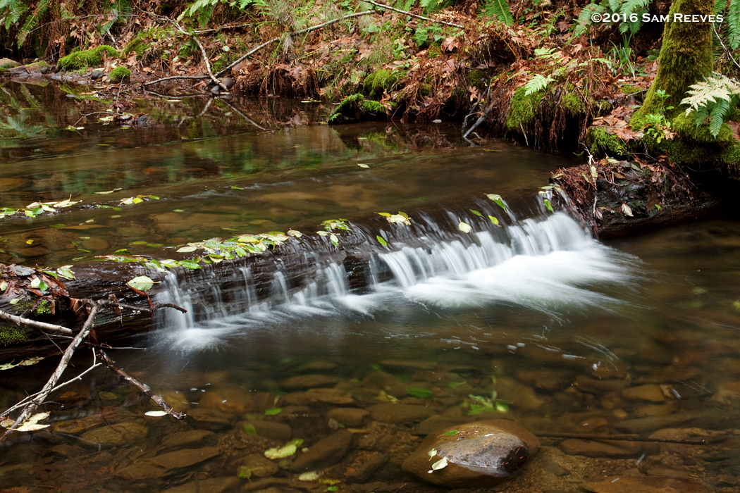 Gazos Creek