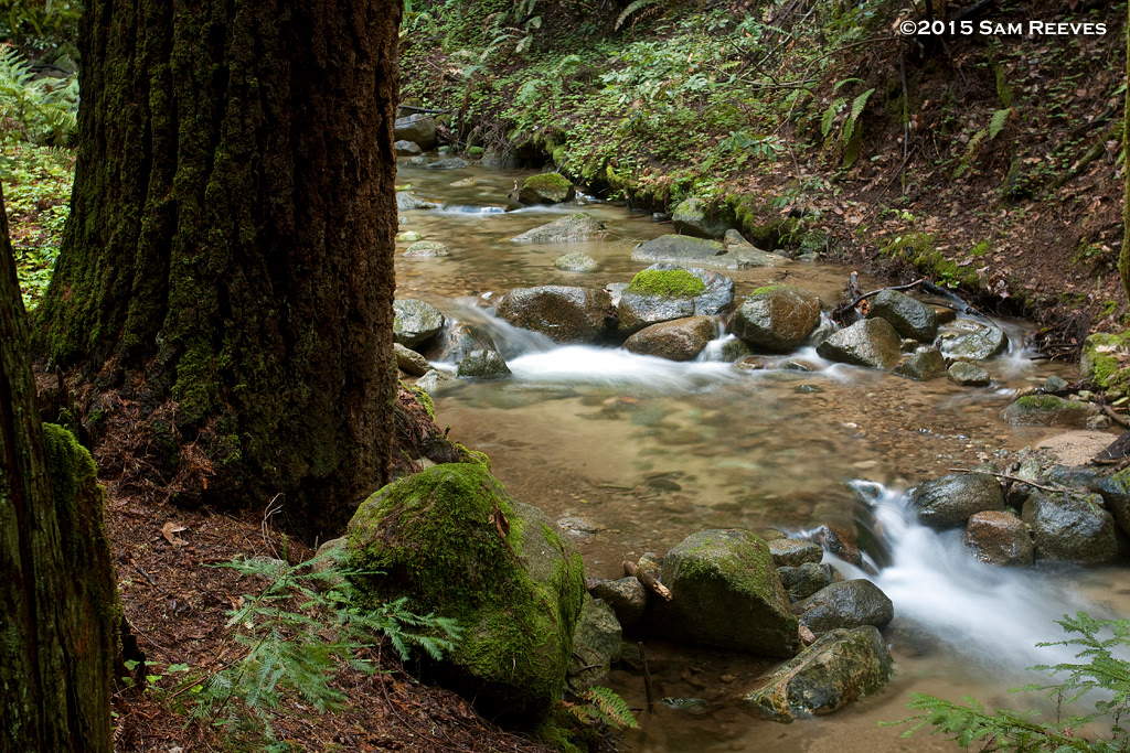 Fall Creek, Felton