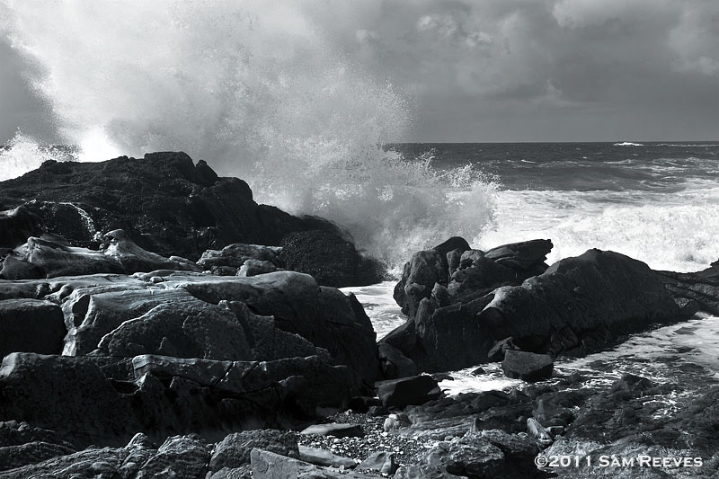 Point Lobos