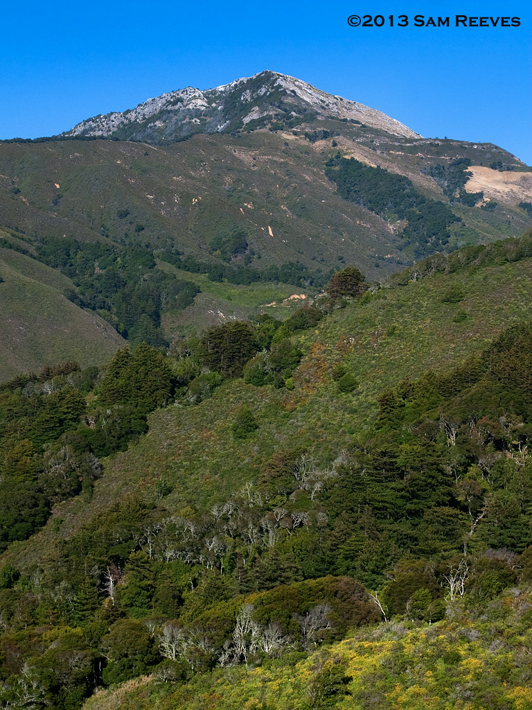 Pico Blanco