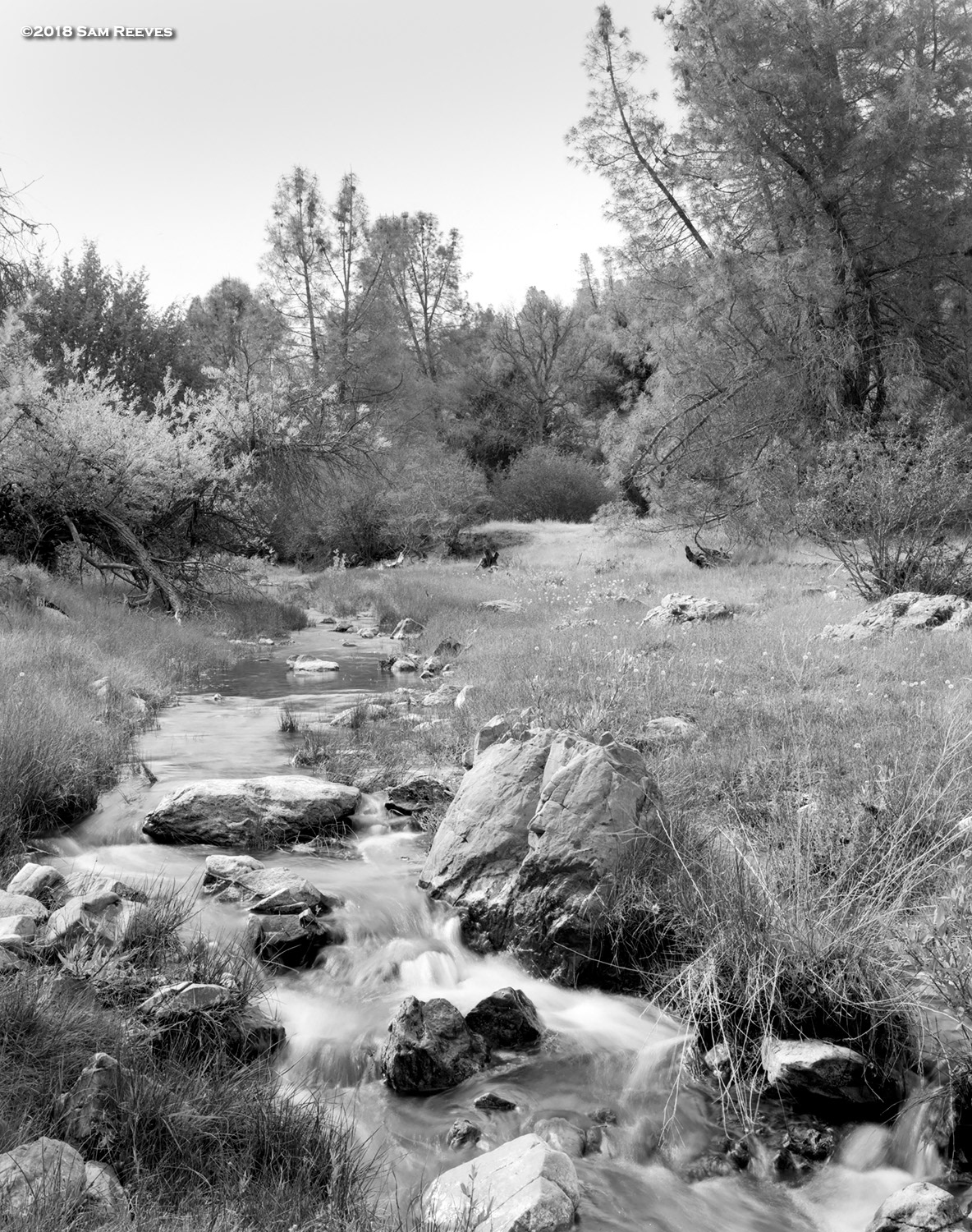San Antonio Valley