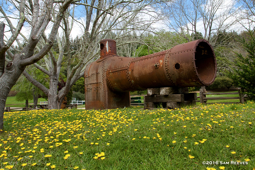 Roaring Camp