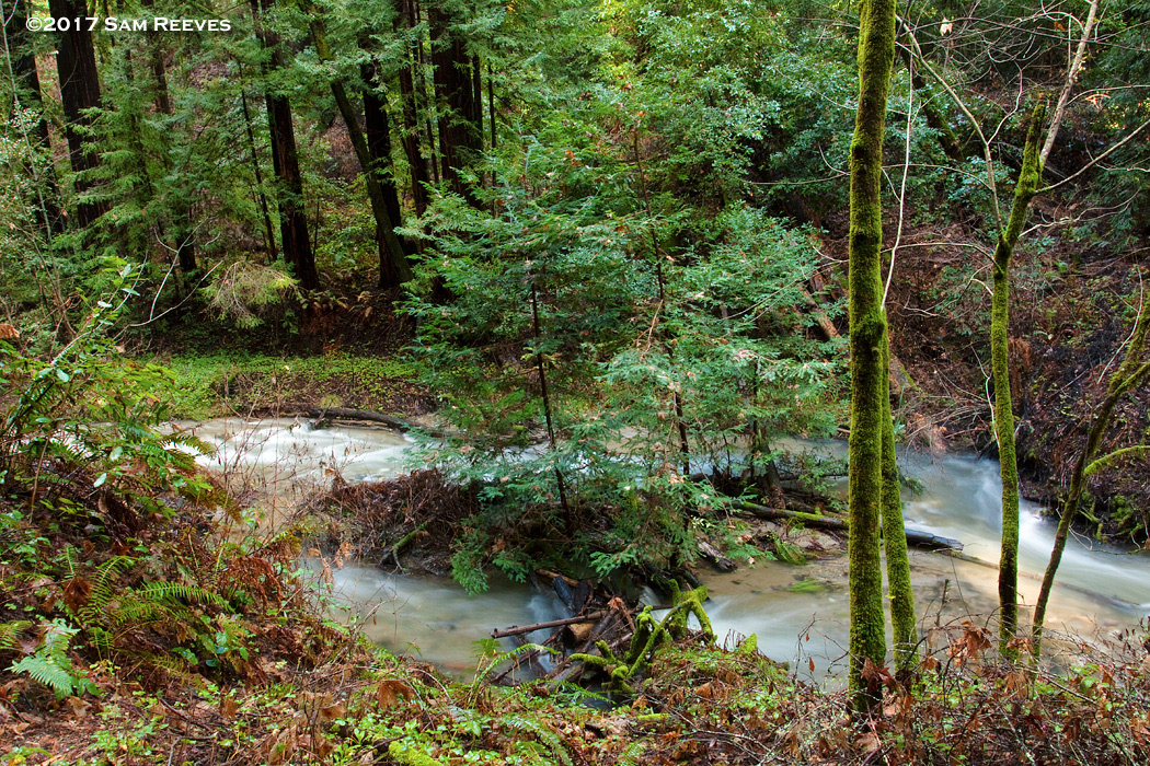 Fall Creek, Felton