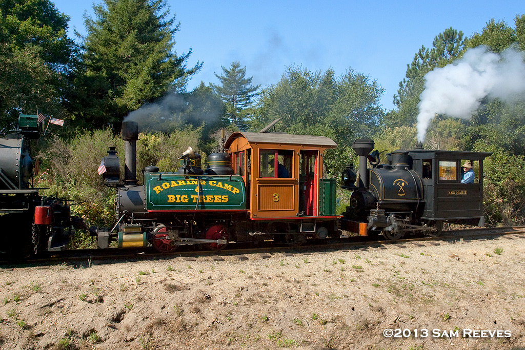 Roaring Camp
