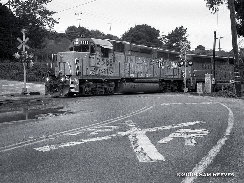Santa Cruz Local at Ellicott