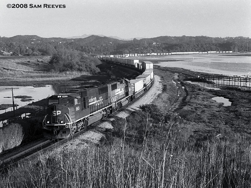Elkhorn Slough