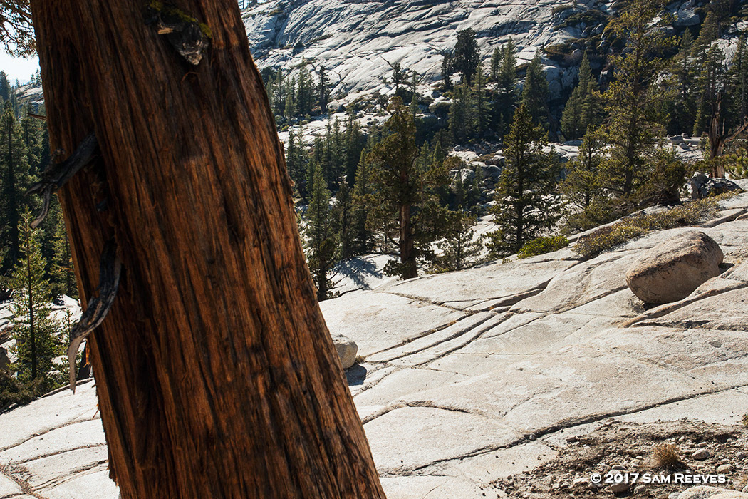Olmsted Point
