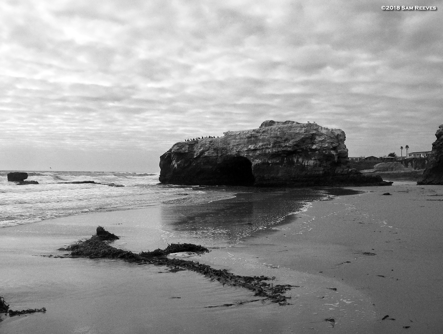 Santa Cruz