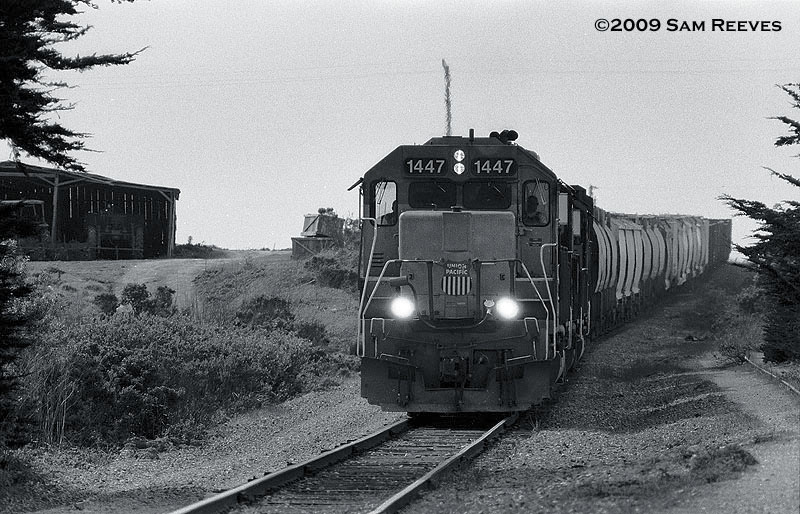 Santa Cruz Local at Wilder Ranch