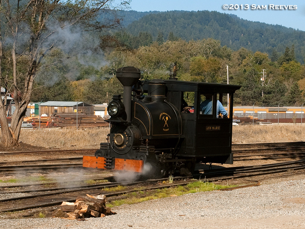 Roaring Camp