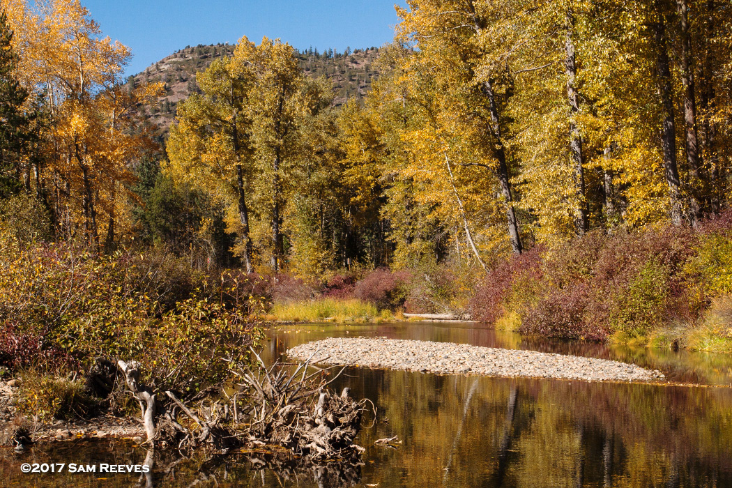 Yuba River