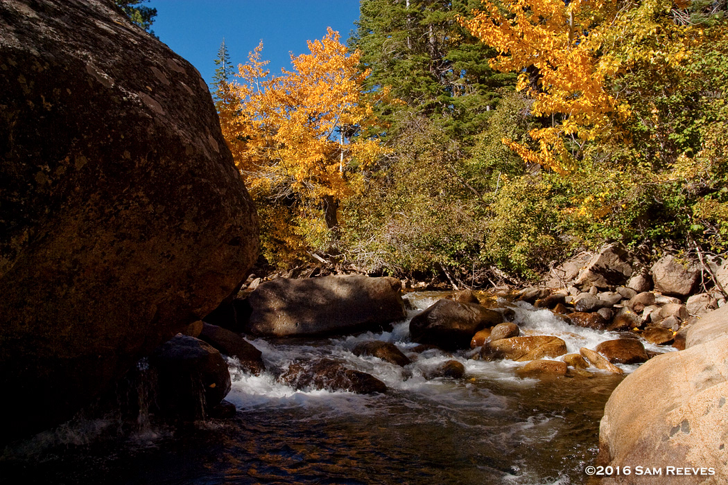 Carson River