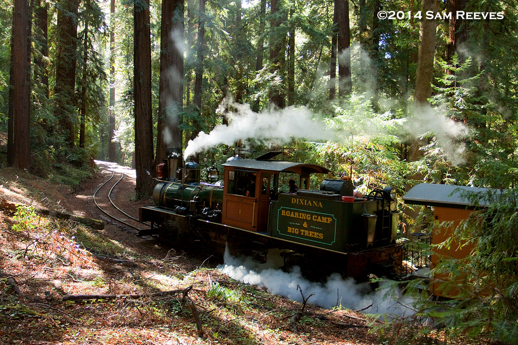 Roaring Camp