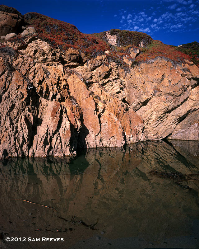 Garrapata
