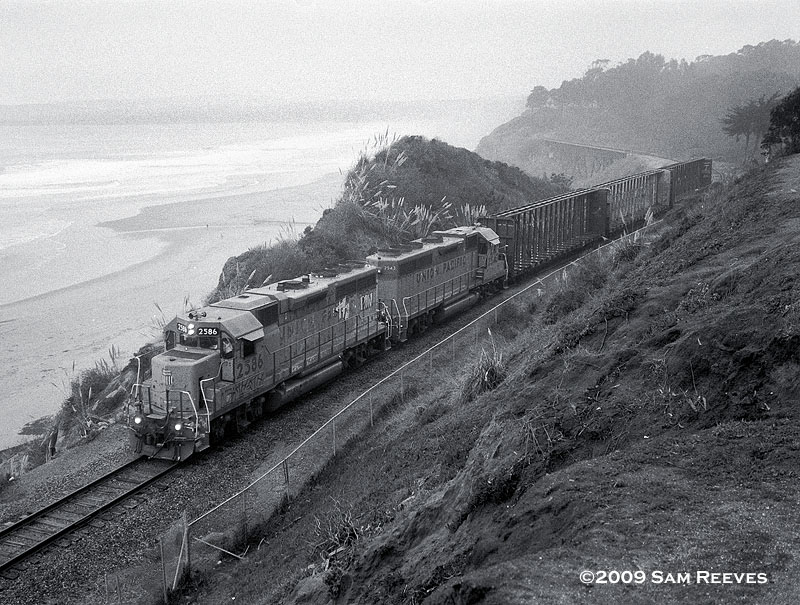 Santa Cruz Local at La Selva Beach
