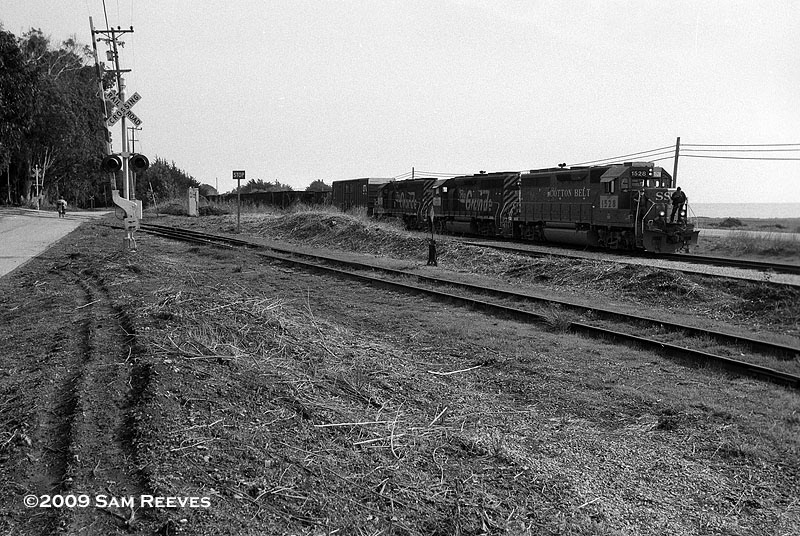 Santa Cruz Local at Davenport