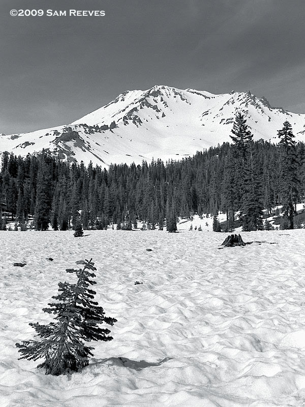 Mount Shasta